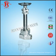 Low Temp Globe Valve